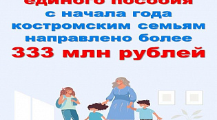 С начала года Отделение СФР по Костромской области назначило единое пособие на 18 420 детей 